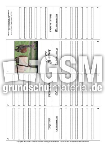 Faltbuch-Rotwild.pdf